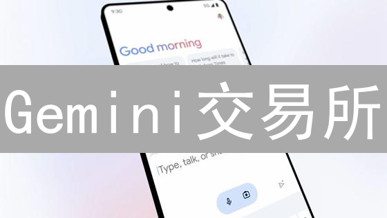 Gemini交易所：限价单与市价单策略选择深度解析