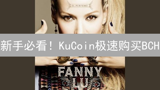 新手必看！KuCoin极速购买BCH：银行卡 vs. 充值，哪个更划算？