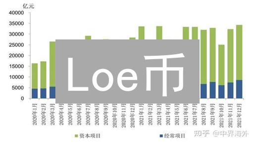 Loe币：数字货币领域的新星，技术与应用前景分析
