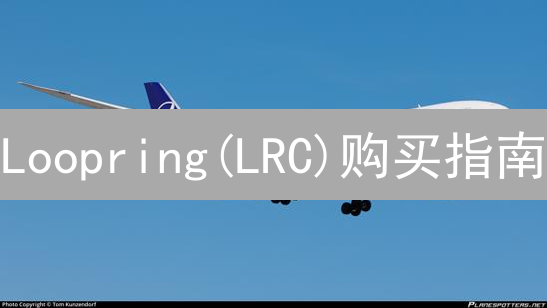 Loopring(LRC)购买指南：Gate.io 交易所轻松上手！