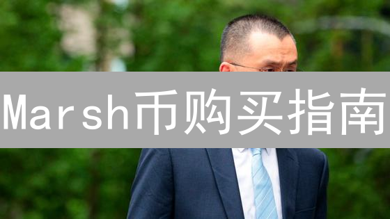 Marsh币购买指南：渠道、风险与新手注意事项详解