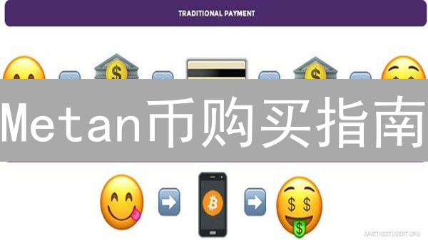 Metan币购买指南：新手入门及风险评估全攻略