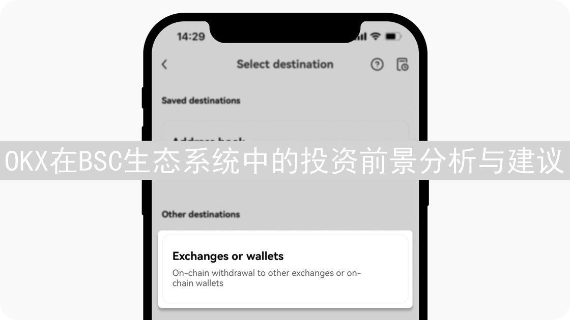 OKX在BSC生态系统中的投资前景分析与建议