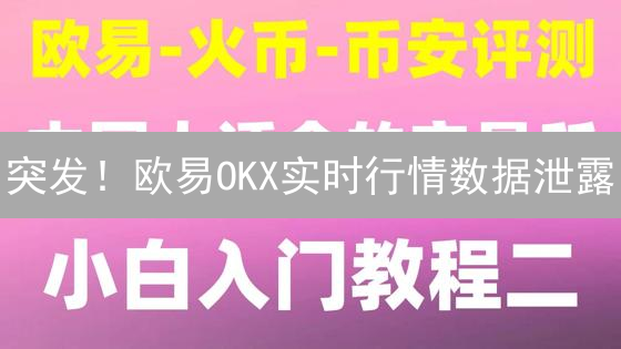 突发！欧易OKX实时行情数据泄露？速看交易秘籍！