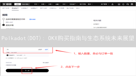 Polkadot(DOT): OKX购买指南与生态系统未来展望