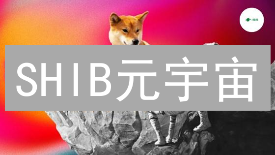 SHIB元宇宙：犬系文化数字疆域与NFT无限可能