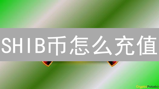 SHIB币怎么充值？新手快速上手指南及安全建议！