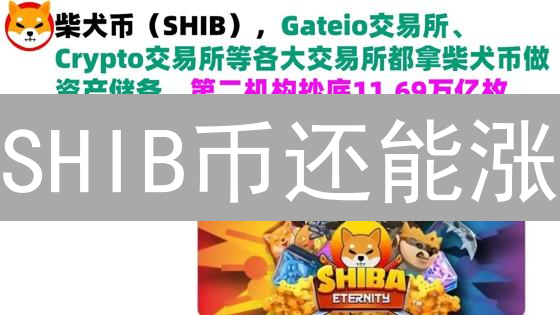 SHIB币还能涨？技术分析揭秘未来走势！