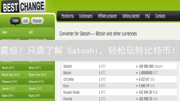 震惊！只需了解 Satoshi，轻松玩转比特币！