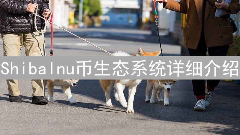 ShibaInu币生态系统详细介绍：核心项目与功能全解析