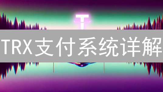 TRX支付系统详解：架构、优势与应用场景深度分析