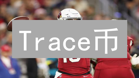 Trace币：重塑供应链透明度的区块链革命？