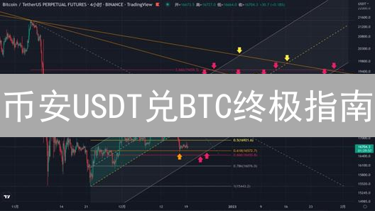 币安USDT兑BTC终极指南：新手也能轻松学会！