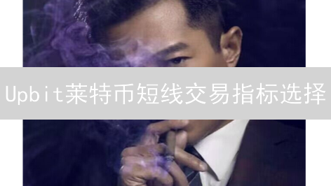 Upbit莱特币短线交易指标选择：波动中捕捉利润