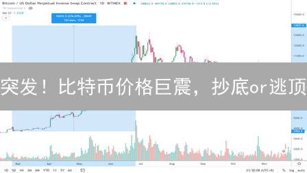 突发！比特币价格巨震，抄底or逃顶？内附欧易实时数据分析！