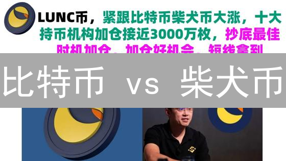 比特币 vs 柴犬币：10大关键差异深度解析！你该选哪个？